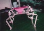 Image of legged robot